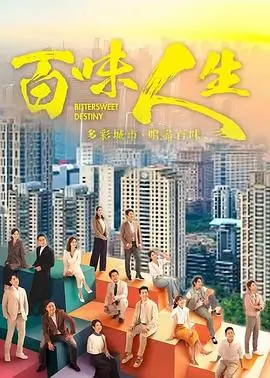 追捕 电视剧 海报
